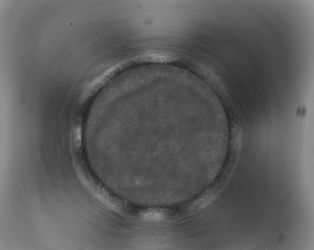 X0000111810358200908131504