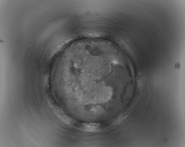 X0000111810359200908131504