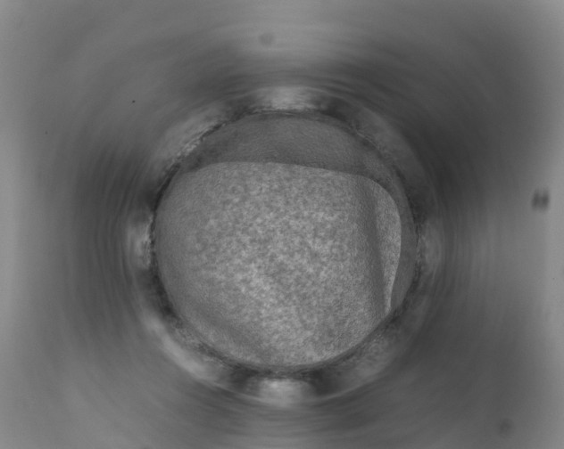 X0000111810360200908131504