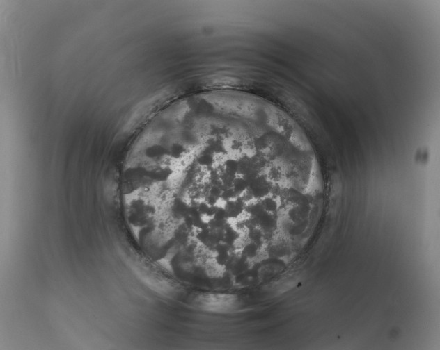 X0000111810361200908131504