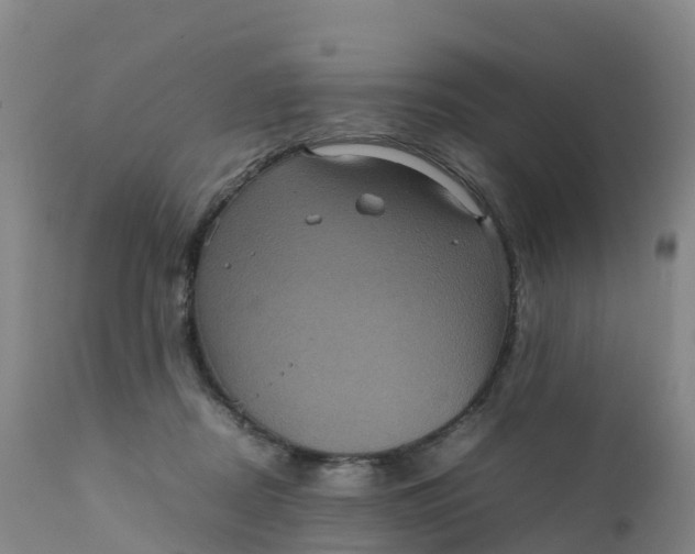 X0000111810362200908131504