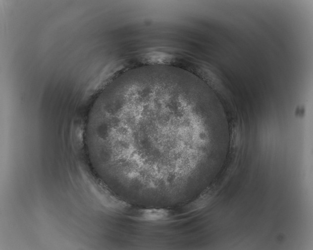 X0000111810363200908131504
