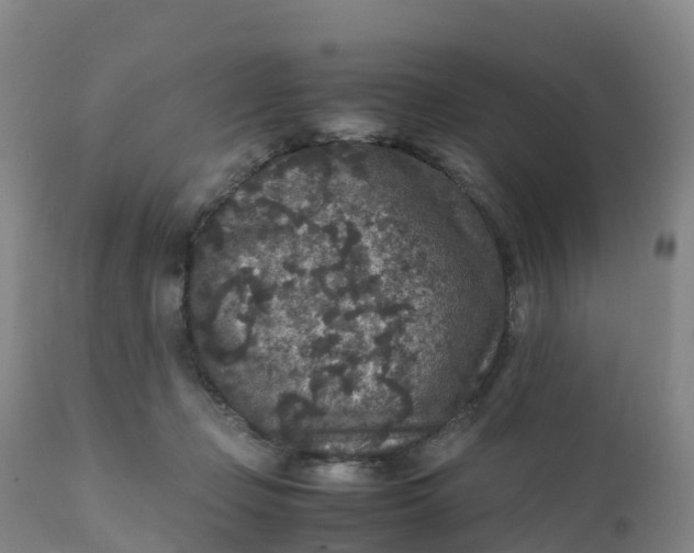 X0000111810365200908131504