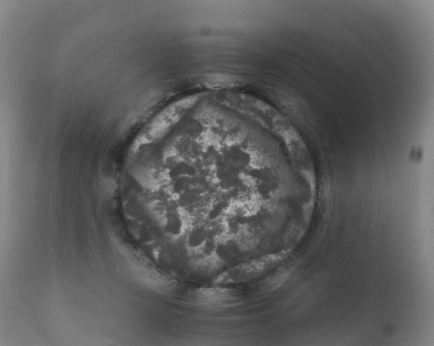 X0000111810367200908131504