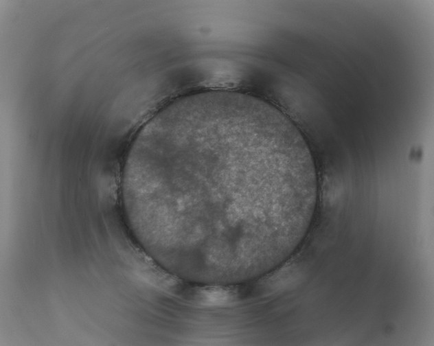 X0000111810370200908131504