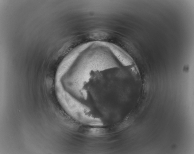 X0000111810371200908131504