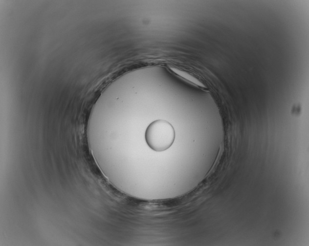 X0000111810372200908131504