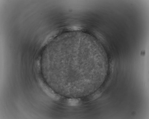 X0000111810373200908131504