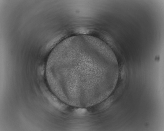 X0000111810374200908131504