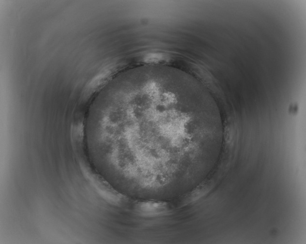 X0000111810375200908131504
