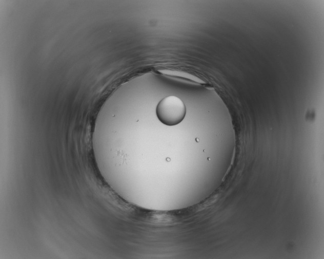 X0000111810376200908131504