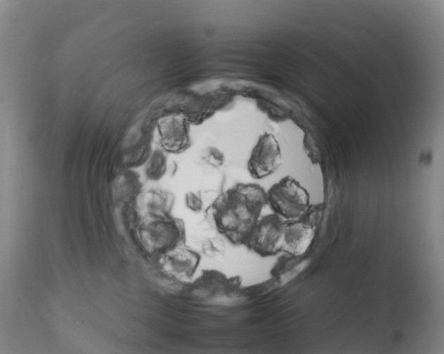 X0000111810377200908131504