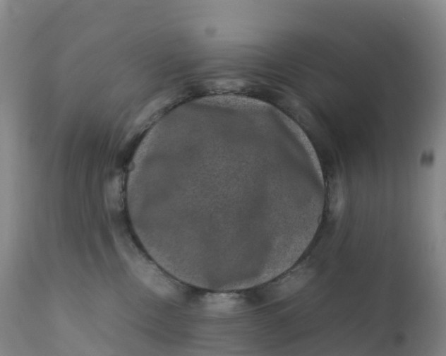 X0000111810378200908131505