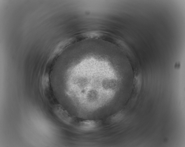 X0000111810381200908131505