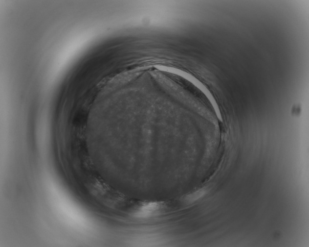 X0000111810382200908131505