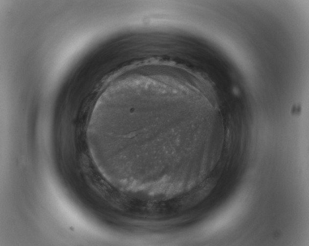 X0000111810383200908131505