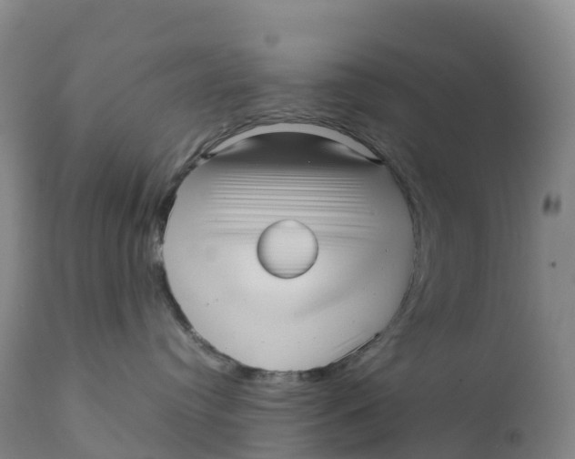 X0000111810384200908131505