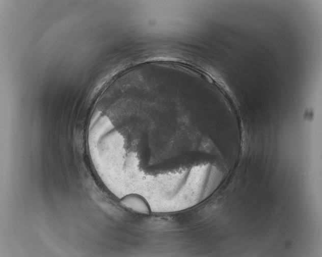 X0000111810386200908131504