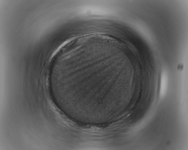 X0000111810387200908131504