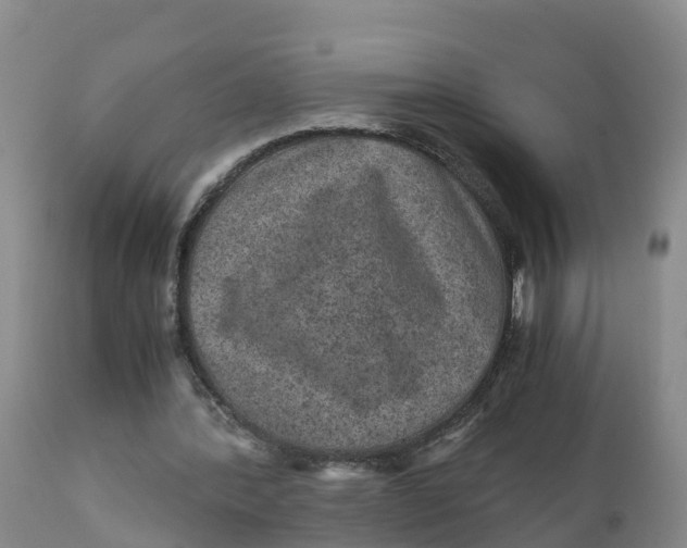 X0000111810388200908131504