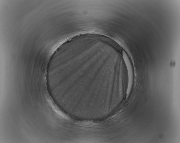 X0000111810389200908131504