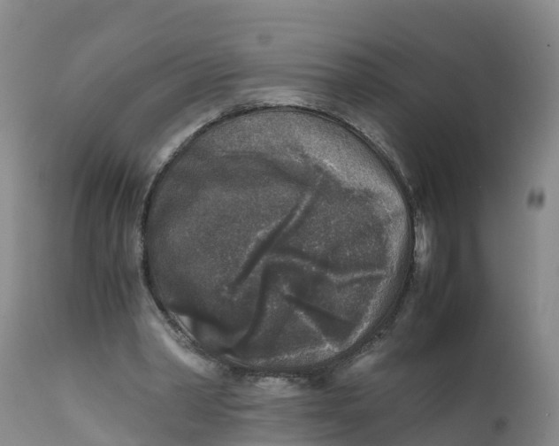 X0000111810390200908131504