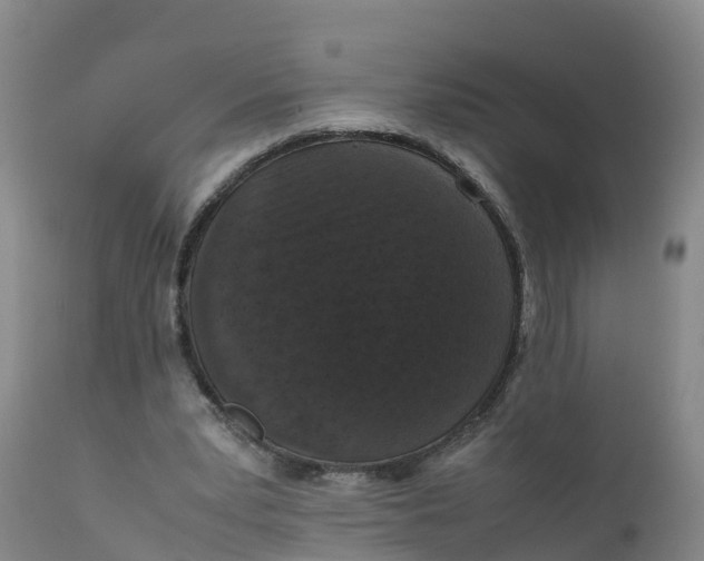 X0000111810391200908131504