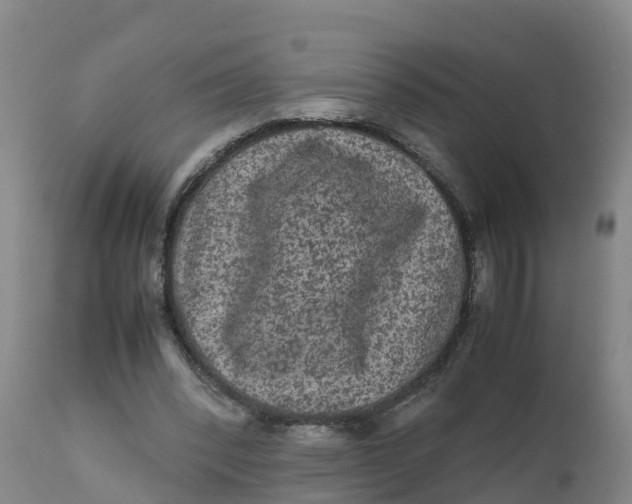 X0000111810392200908131504
