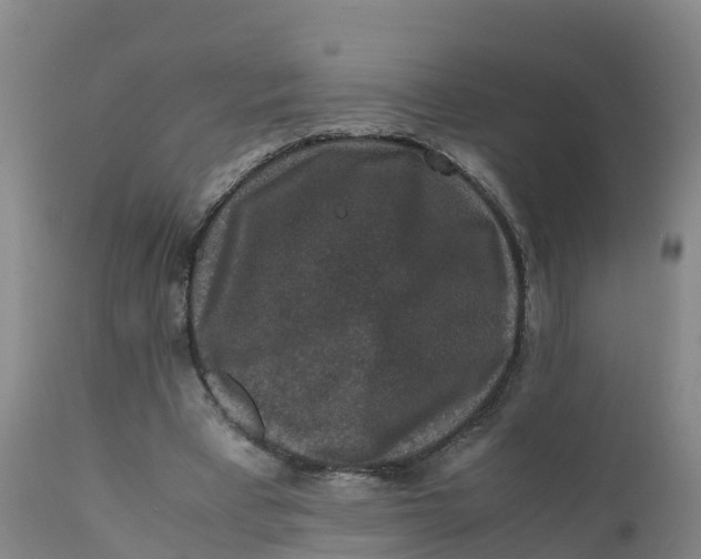 X0000111810393200908131504