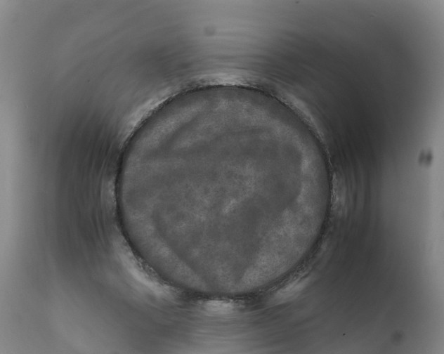 X0000111810394200908131504