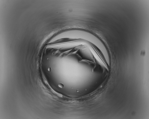 X0000111810395200908131504