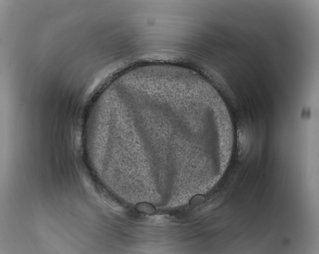 X0000111810396200908131504