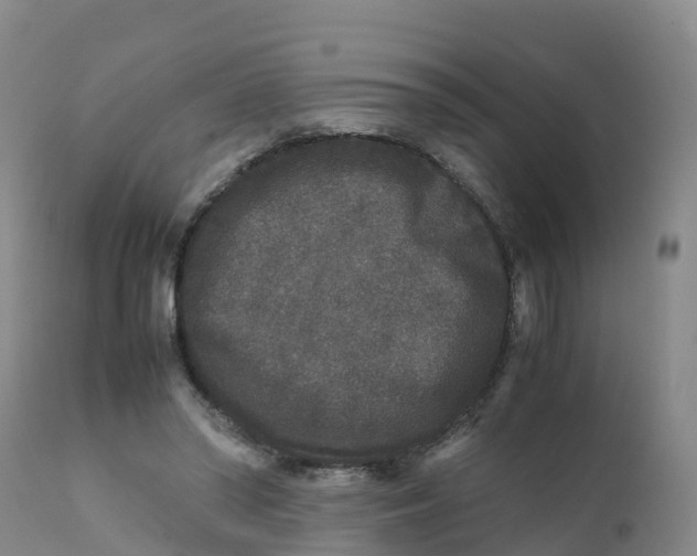 X0000111810398200908131504