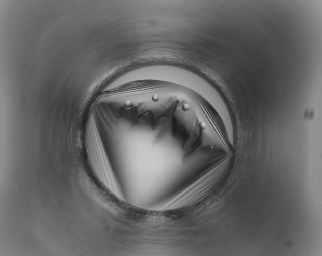 X0000111810399200908131504