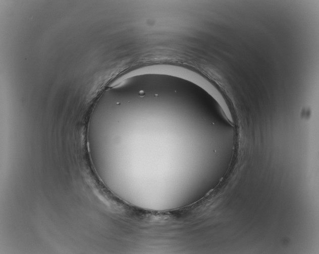 X0000111810401200908131504