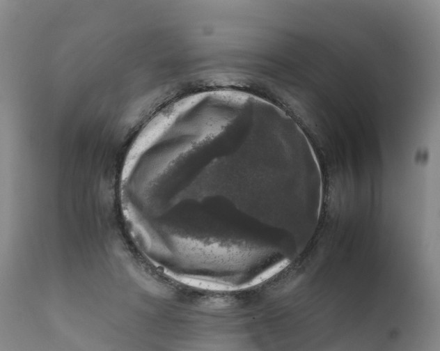 X0000111810402200908131504