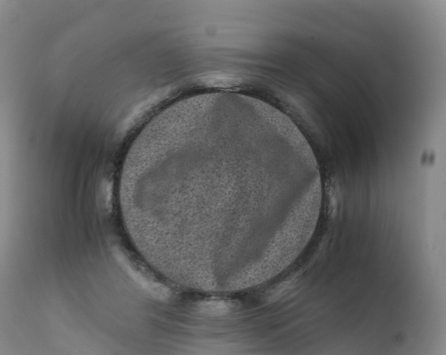 X0000111810404200908131503