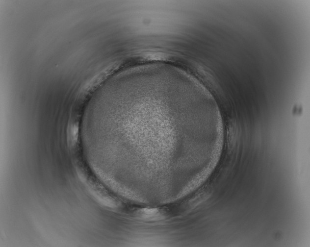 X0000111810406200908131503