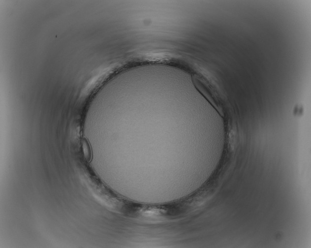 X0000111810407200908131503