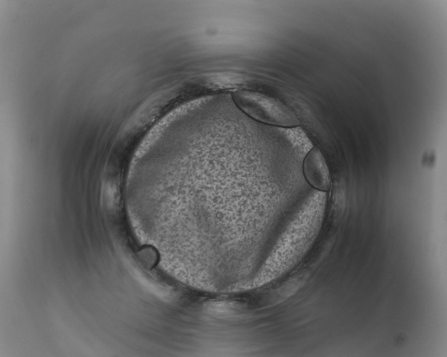 X0000111810408200908131503