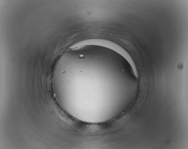 X0000111810409200908131503