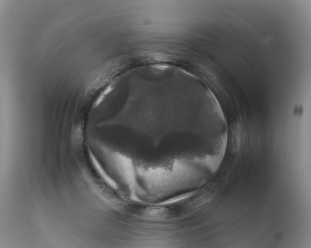 X0000111810410200908131503