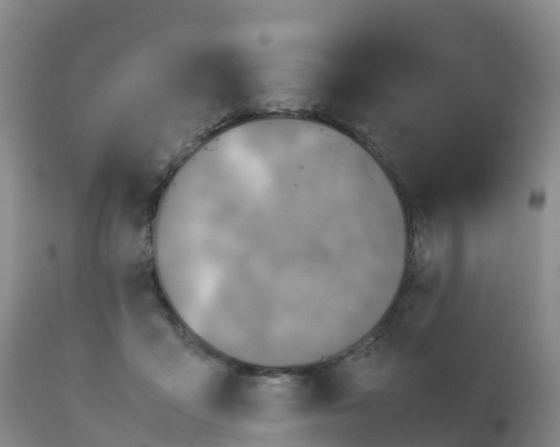 X0000111810411200908131503