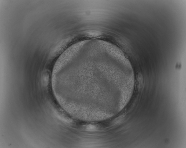 X0000111810412200908131503