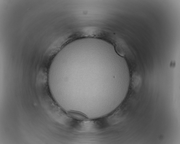 X0000111810413200908131503