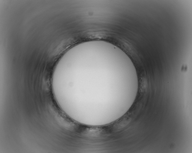 X0000111810414200908131503