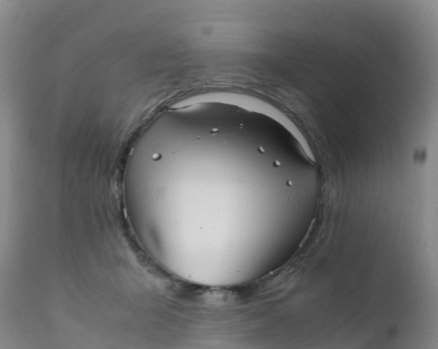 X0000111810415200908131503