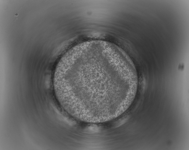 X0000111810416200908131503