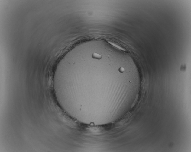 X0000111810417200908131503