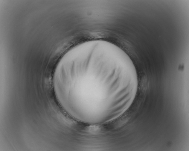 X0000111810418200908131503
